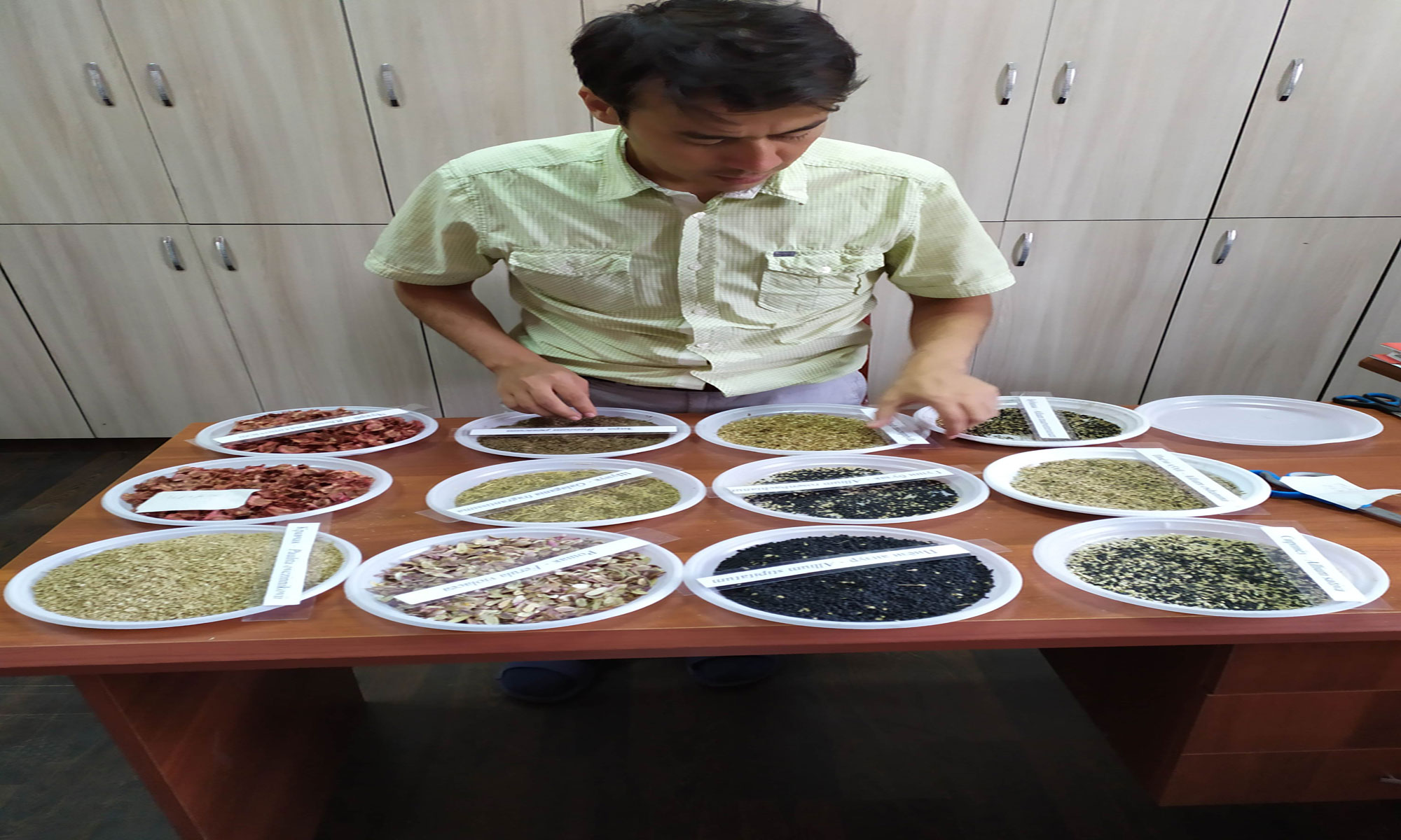 Seed sorting at Kulob Botanic Garden